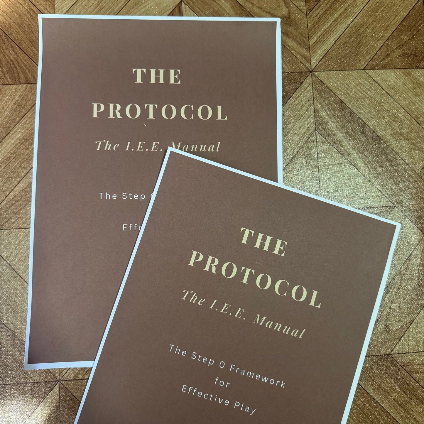 THE PROTOCOL - The I.E.E. Framework™ Manual