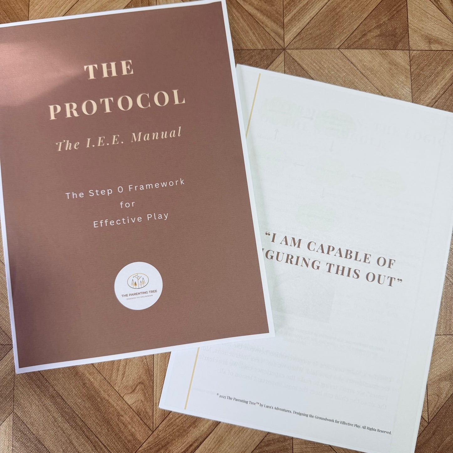 THE PROTOCOL - The I.E.E. Framework™ Manual